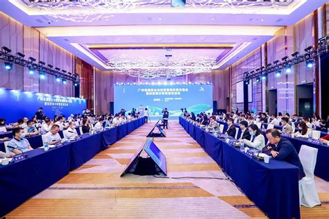 向世界！广州南沙打造中国企业“走出去”综合服务基地_手机新浪网
