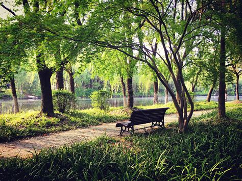 上海世纪公园简介 上海世纪公园门票及开发时间_旅泊网