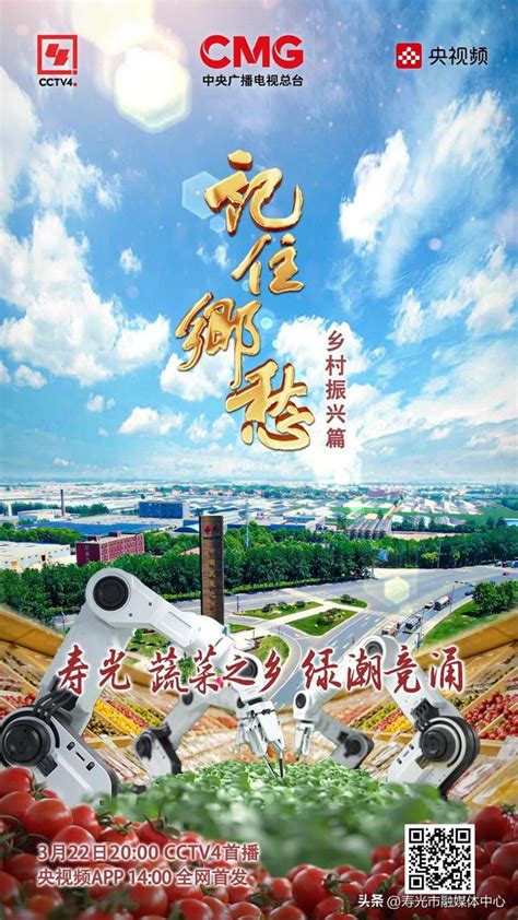 【CCTV-4 中文国际频道：中国古树】南京六朝松