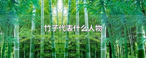 竹子的虚心、坚韧、有节和正直使其成为最清雅的植物|道德|竹子|植物_新浪新闻