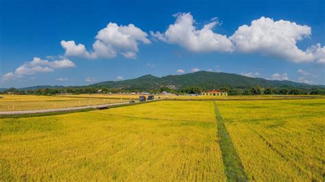 惠州市惠城区马安镇新群村青水廖住宅区B9号的土地使用权 - 司法拍卖 - 阿里资产