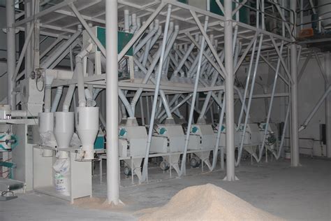 米粉厂建设，一条米粉生产线要考虑哪些？__财经头条
