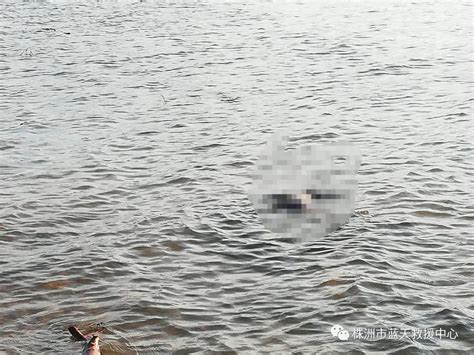 株洲四桥附近水域一天发生两起溺亡事件_社会_长沙社区通