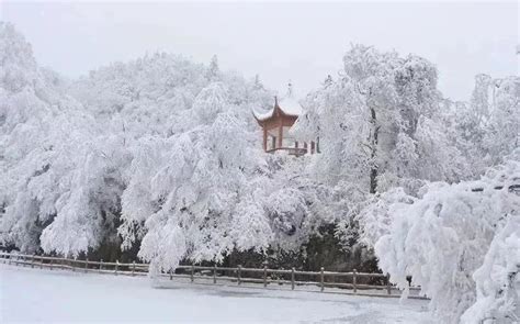 今天可真冷啊~&...绝美！汉江源景区下雪前后的对比，被大自然的魅力惊呆了！ - 宁强县人民政府