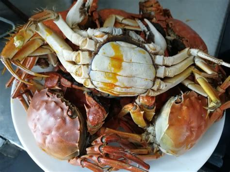 【正宗煮螃蟹的做法,最正宗的做法步骤图解_怎么做好吃】_下厨房