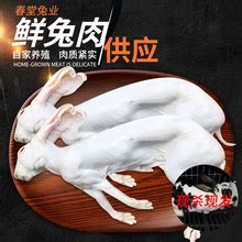 兔肉设计图__海报设计_广告设计_设计图库_昵图网nipic.com