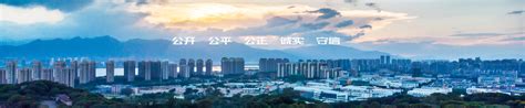 院士从稀客变常客，鹿城创新引领城市迸发新活力-新闻中心-温州网