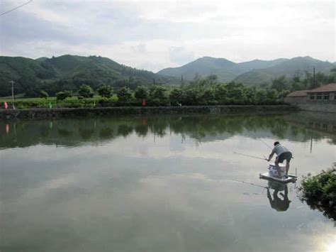 丹江口水库有上百斤大鱼,人送外号“水老虎”,其实名叫鳡鱼