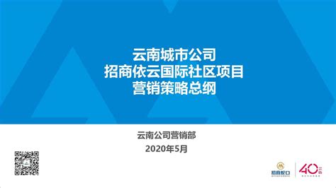 营销-2020.5招商-依云国际社区营销策略报告 - 知乎