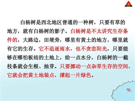 白杨_word文档在线阅读与下载_免费文档