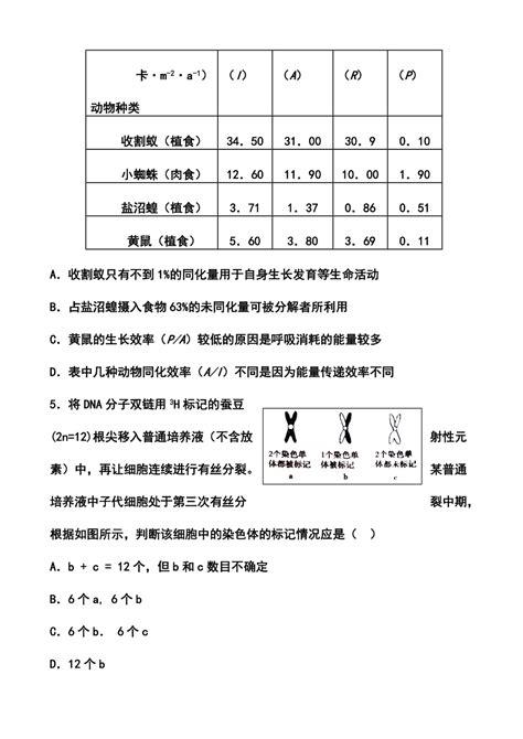 安徽省合肥168中学高三最后一卷理科综合试题及答案