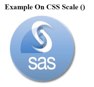 CSS Scale() | Top 5 Examples of scale() Function in CSS