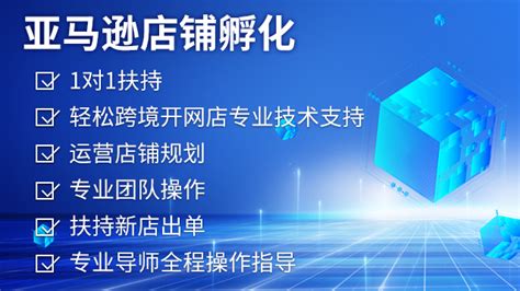 江苏第三方亚马逊代运营包含什么 值得信赖「杭州光奇犇乐科技供应」 - 长沙-8684网