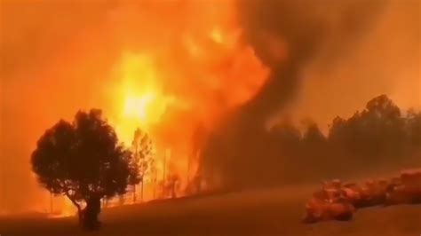 凉山木里发生森林火灾 60余名村民通宵奋战将火扑灭|防火|村民|杜基_新浪新闻