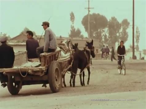 老电影：农村故事片，满满的都是童年的经典回忆