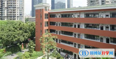 广州天河外国语学校2023年学费标准