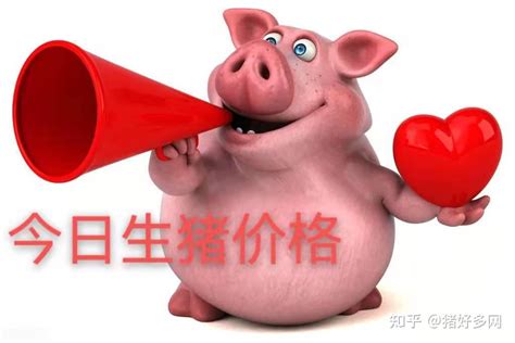 今日猪价 | 2022年10月31日全国猪价行情一览表！