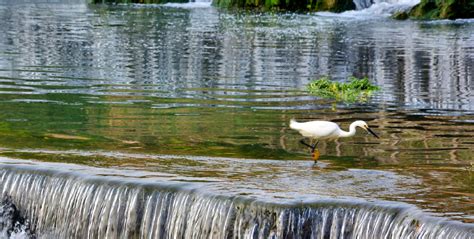 松溪河，新添寨最美的休闲运动湿地公园