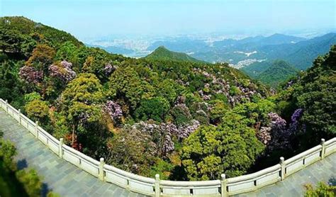 深圳旅游必去十大景点排行榜-排行榜123网