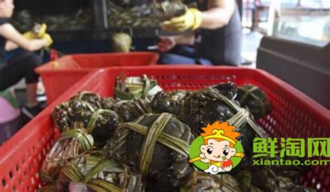 买螃蟹在哪里买,螃蟹,螃蟹种类_大山谷图库