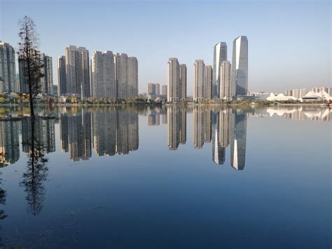 水中倒影图片