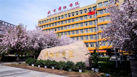 2022北京印刷学院美术生文化分是多少 - 武汉北艺画室