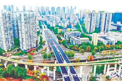 大渡口 实施城市更新提升行动 建设生态宜居公园城市_重庆市人民政府网