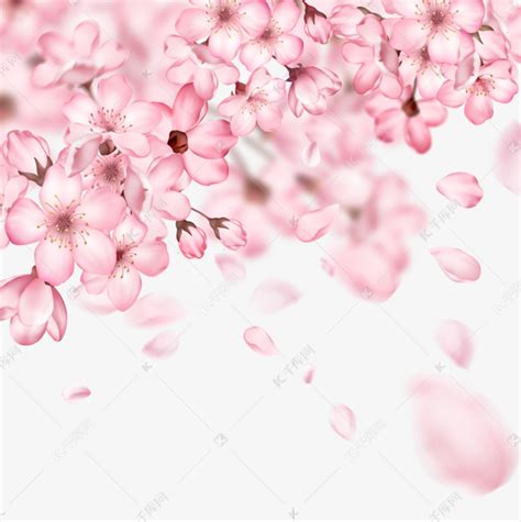 红色浪漫飘散的玫瑰花瓣图片素材免费下载 - 觅知网
