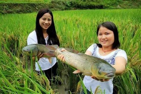 江苏省沿海开发集团：肥鱼满舱迎丰收 绿色种养护生态_中国江苏网