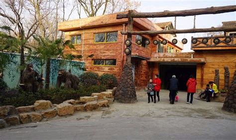 南京红山森林动物园 南京红山森林动物园攻略 南京红山森林动物园怎么走_旅泊网