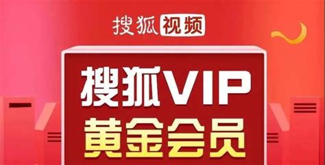 搜狐视频VIP会员卡兑换券_2021搜狐视频VIP兑换码_搜狐视频VIP季卡/年卡优惠/特价活动-大河票务网
