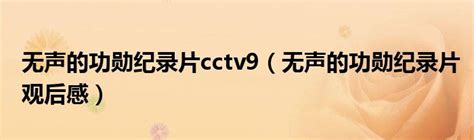 无声的功勋纪录片cctv9（无声的功勋纪录片观后感）_公会界