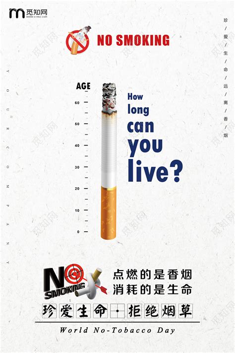 大气浅灰戒烟健康珍惜生命远离香烟宣传海报图片下载 - 觅知网