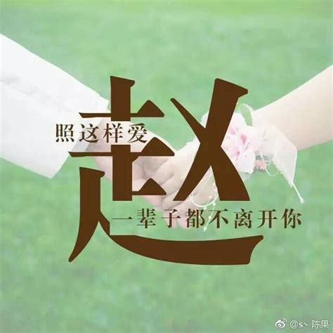 姓赵非主流头像