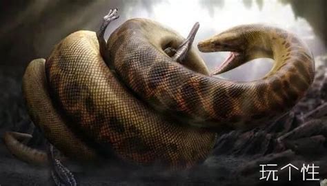 地球目前已知最大的蛇，长达15米重1吨，需要在30度以上高温生存|泰坦|巨蟒|地球_新浪新闻