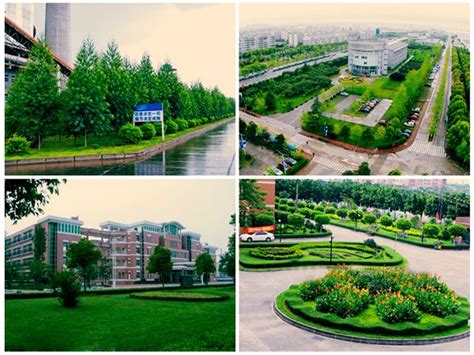 南京绿化公司,南京绿化养护,南京绿化工程,亿拓园林建设