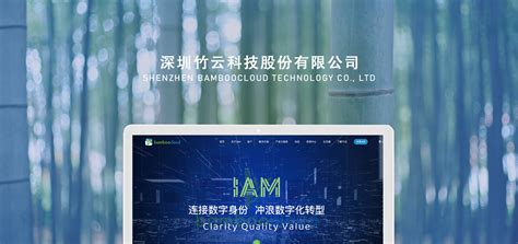 广州网站建设-网站设计-网站定制-小程序开发-中网科技