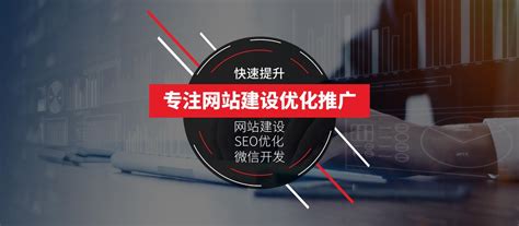 天津搜索引擎宣传公司在线咨询_其他商务服务_第一枪