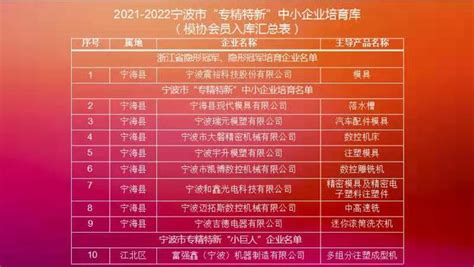 2021-2022宁波市“专精特新”中小企业培育库（模协会员入库汇总表） - mjxh