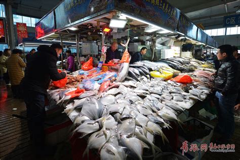 山东青岛海鲜市场现305斤巨型石斑鱼 - 海洋财富网