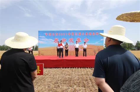 河南省最新引种20个小麦品种(河南农科院最新小麦品种)