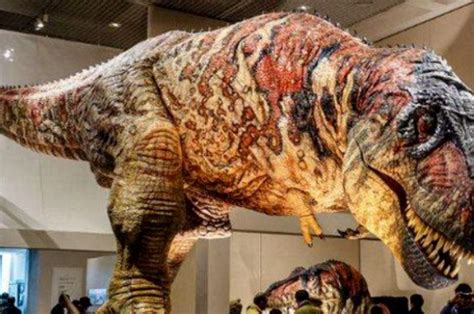 地球史上最大最凶猛顶级食肉动物排名，霸王龙仅排第14位！_徐德文