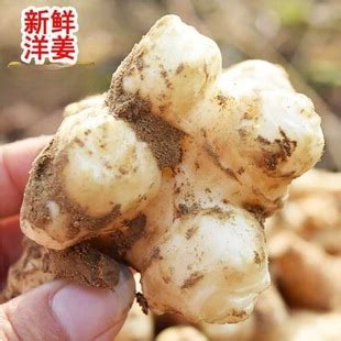 姜芋图片