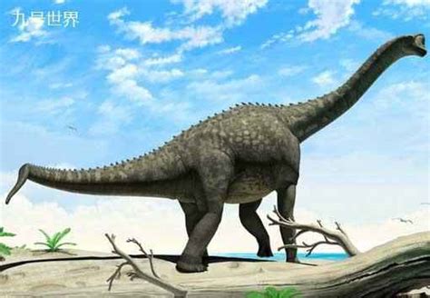 远古最小的恐龙排名，美颌龙仅排第五，最后一种体长只有39厘米