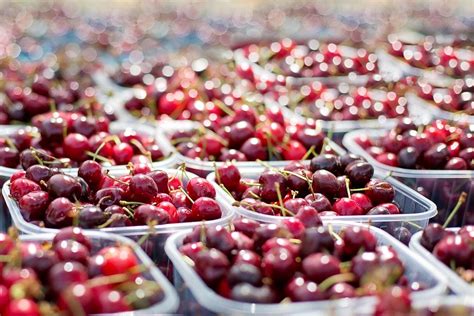 进口水果批发市场有哪些品种的车厘子值得关注？
