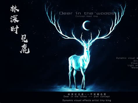 汉字解密|鹿：太形象了！甲骨文的鹿字画出了一只美丽的小鹿_长江云 - 湖北网络广播电视台官方网站