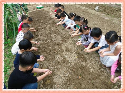 城南小学：种植园里的微笑 - 赣榆教育在线