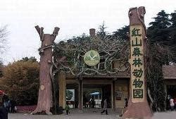 红山森林动物园 _红山森林动物园门票预订_侠客游特价酒店