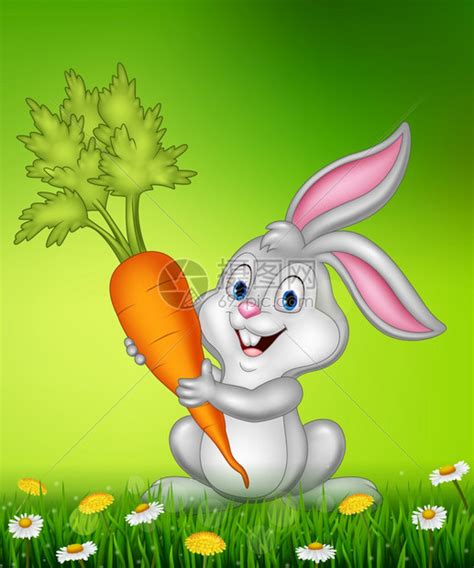 拿着胡萝卜的兔子插画图片下载-正版图片303214865-摄图网